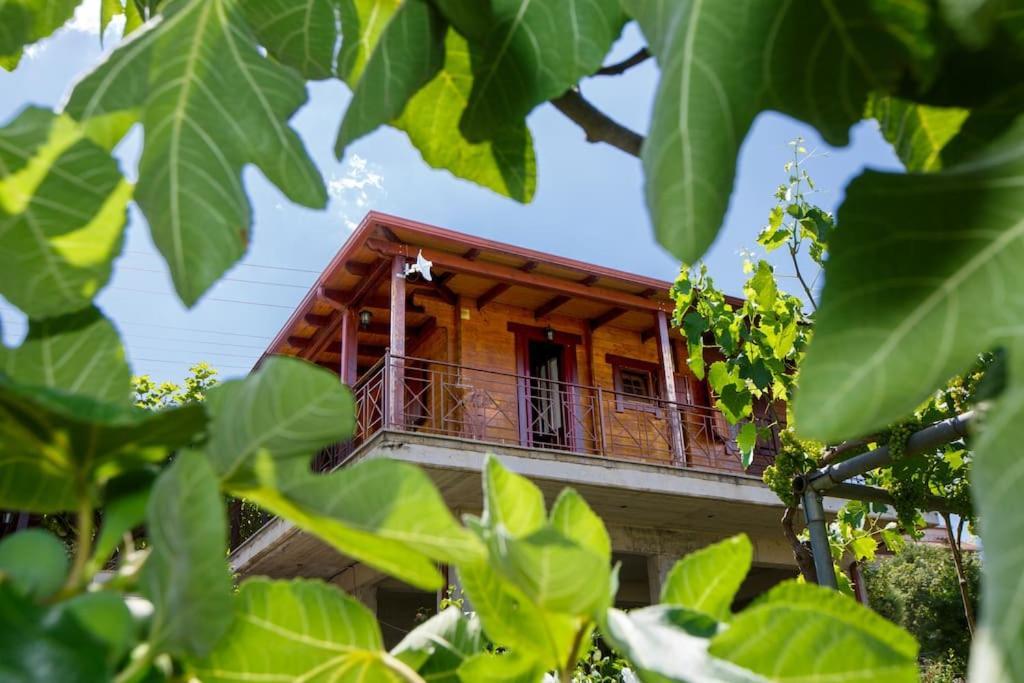 Apartmán Wooden House In Ioánnina Exteriér fotografie